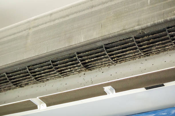 Best Affordable Duct Cleaning Services  in Chesapeake, VA